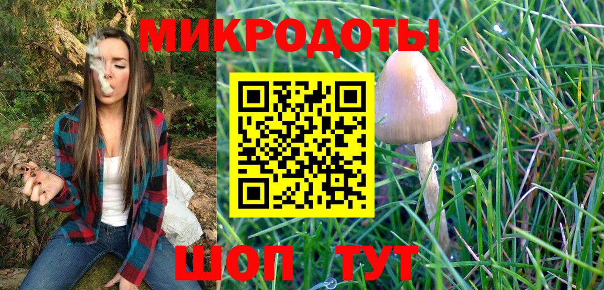 наркота  Псилоцибиновые грибы Psilocybine cubensis  Вход с VPN  Сарапул  Псилоцибиновые грибы прущие грибы 